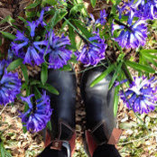 Linda Cody's photo