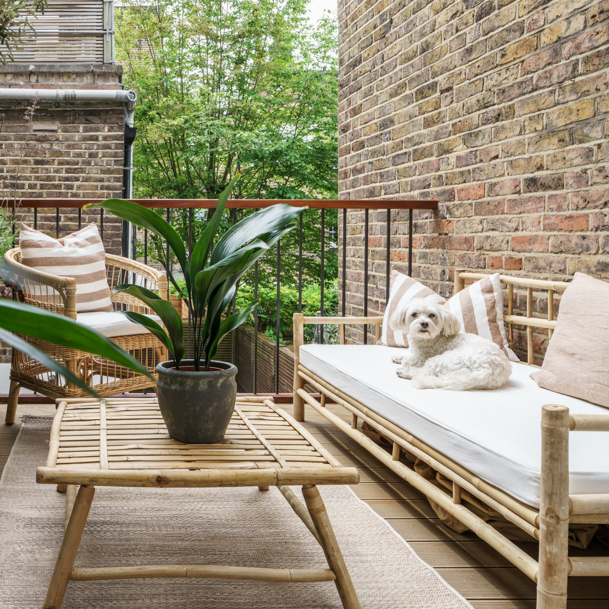 Notting Hill Extension and Full Renovation