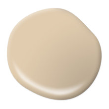 Wall Color for LivingRoom