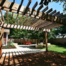 back yard