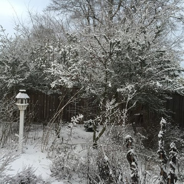 Jaliya's Memorial Garden