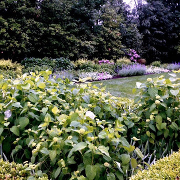 Gardens: Perennial and Mixed Borders