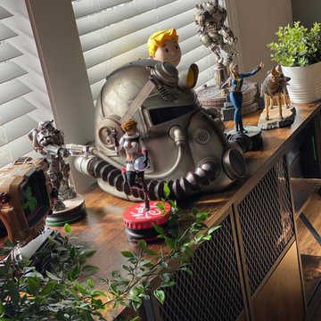 Houzz.com | Collector Figures, Model and Toys Display Cabinets Ideas