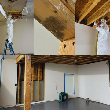 Mold Remediation in Progress