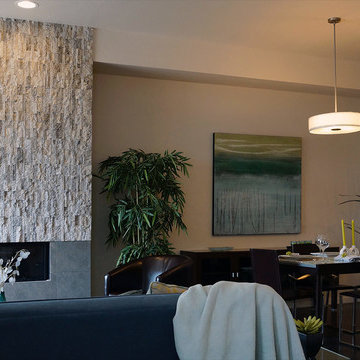 Longmont - Contemporary Townhomes - Prospect New Town