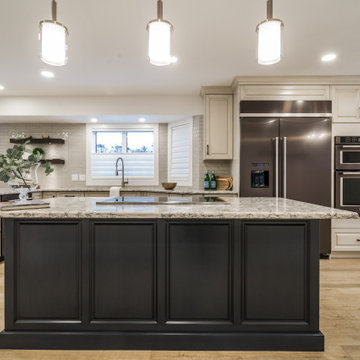 Cloverdale - Whole Home Renovation
