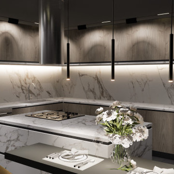 Kitchen Contemporary Interior Design Cabinetry Bayfront