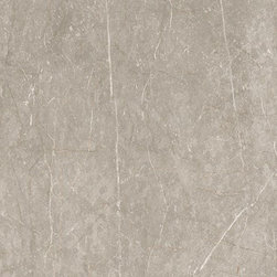 Mexicana Silver - Wall & Floor Tiles