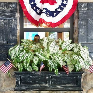 Summer Container Gardens
