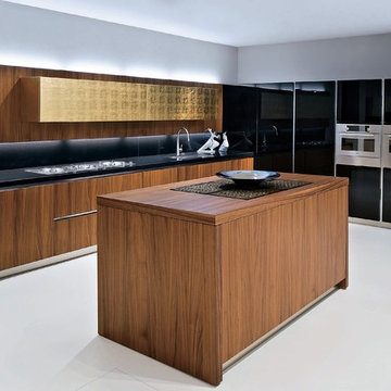 MODERN KITCHENS VENEZIA IN SAN DIEGO