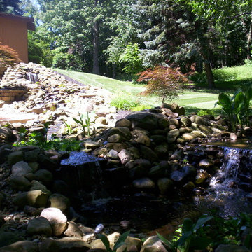 Koi pond
