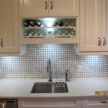 Full Kitchen Renovation in Condominium