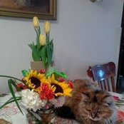 Cheri Crockett's photo