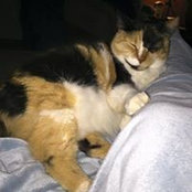 Jessica Herod's photo