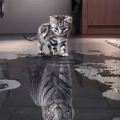 Foto von Alex Bordeaux