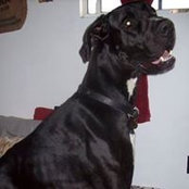 Maria Arechiga's photo