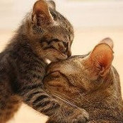 Aimee Fontenot's photo