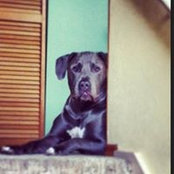 Foto de Hailey Kepler
