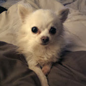 Brianna Goodwin's photo
