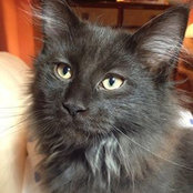 Frances Snipes's photo