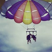 Alejandra Oropeza's photo