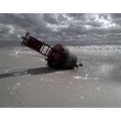 Brian O'Toole's photo