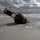 webuser_87192