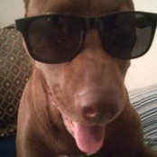 Kyle Gifford's photo