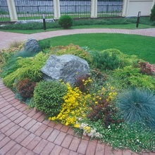 Outdoor Front Flower bed