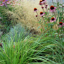 Garden Favorites To Add