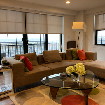 Beige Designer Screen Roller Shades in living room