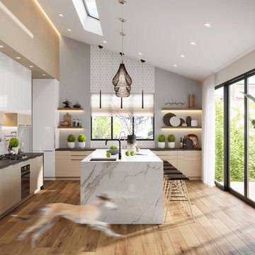 Modern/contemporary house