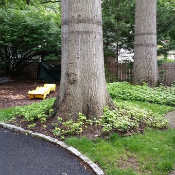 before photo