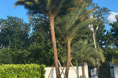 This is an example of a landscaping in Miami.