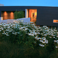 Modern Houses