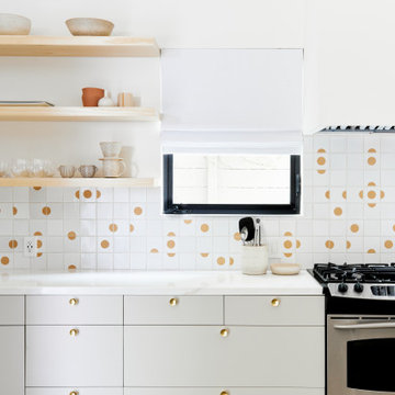 Venice Beach / Remodel
