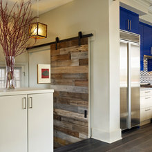 contemprary barn doors