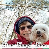 Sue Doyle's photo