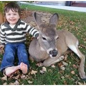 Shelby Frerichs's photo