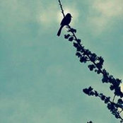 Jenn Cabreros's photo