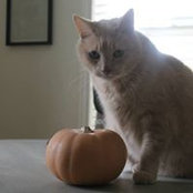 Heather Hinze's photo