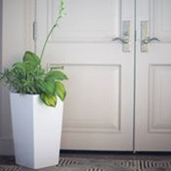 Algreen Products