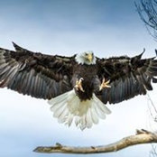Steve Matthews's photo