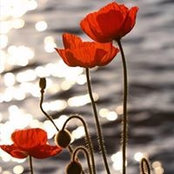 Foto von Helen Head