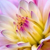 Bridgett Freeman's photo