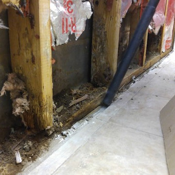 Water & Mold Damaged Wall Repair