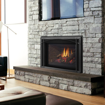 Gas Fireplace Inserts