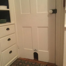 kitty box