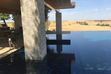 Photo of a large midcentury backyard rectangular infinity pool in Other with a water feature and concrete pavers.
