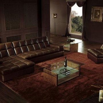 Modern Brown Leather Sectional Sofa